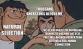 Thumbnail for version as of 07:36, 12 September 2026