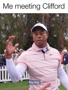 Tiger Woods Big Dog meme #4