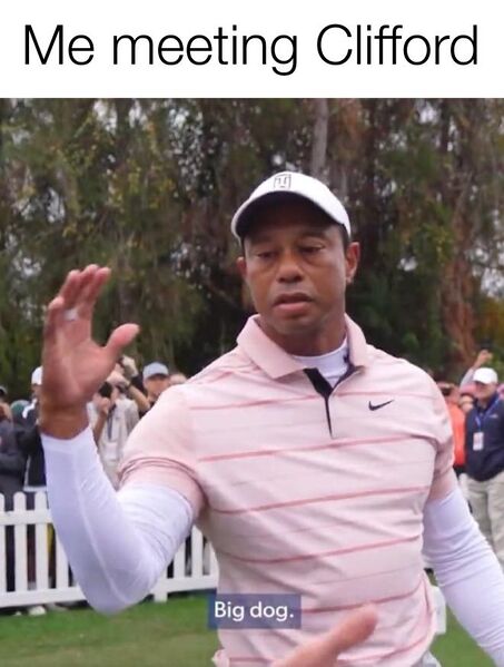 File:Tiger Woods Big Dog meme 4.jpg