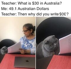 Woman Showing Papers to Grey Cat meme #4