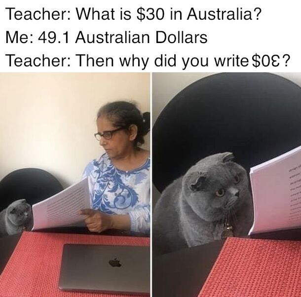 File:Woman Showing Papers to Grey Cat meme 4.jpg