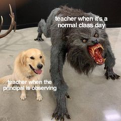 Dog vs. Werewolf meme #3