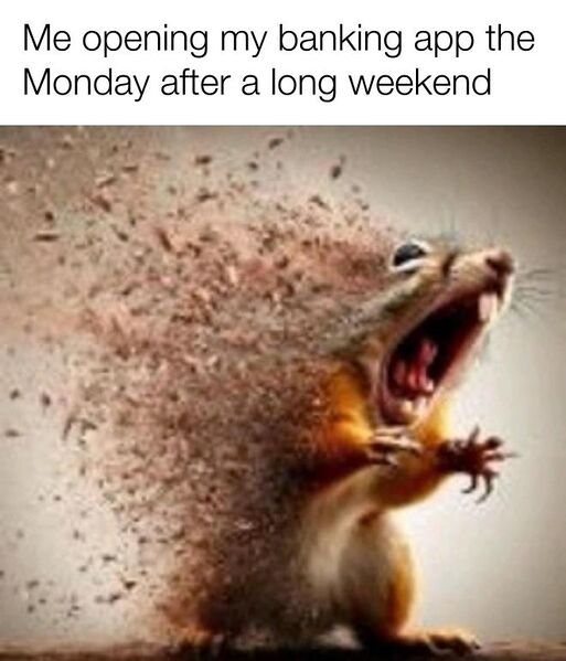 File:Disintegrating Squirrel meme 4.jpg