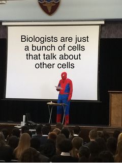 Spider-Man's Presentation meme #4