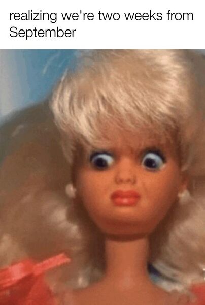 File:Disgusted Barbie meme 1.jpg