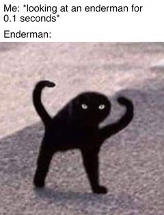 Cursed Cat meme #4