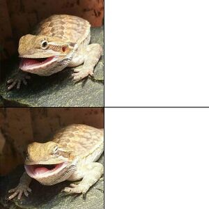 Butter the Bearded Dragon: blank meme template