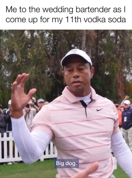 File:Tiger Woods Big Dog meme 1.jpg