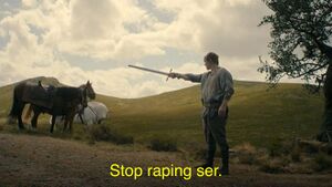 Stop Raping, Ser: blank meme template