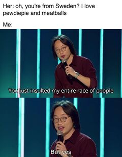 You Just Insulted My Entire Race Of People meme #1
