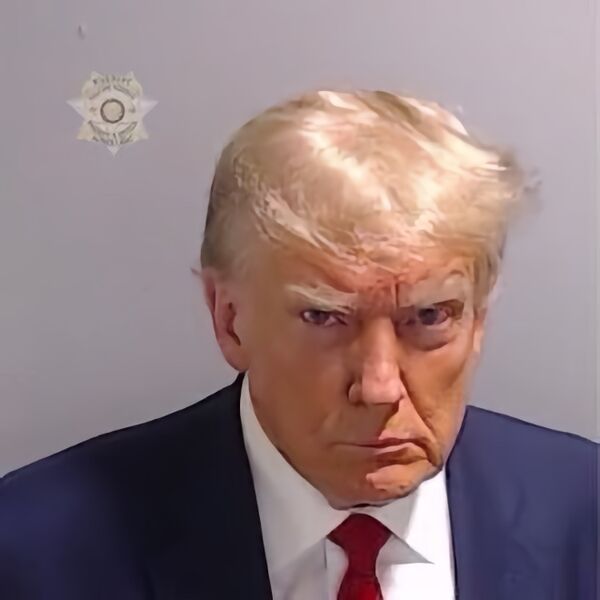 File:Donald Trump's Mugshot.jpg