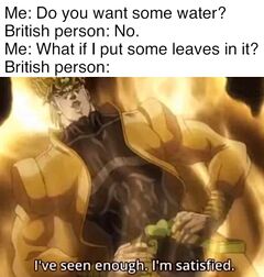 I've Seen Enough. I'm Satisfied - Meming Wiki