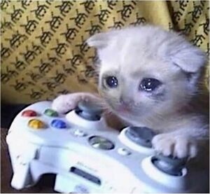 300px-Sad_Gaming_Cat.jpg