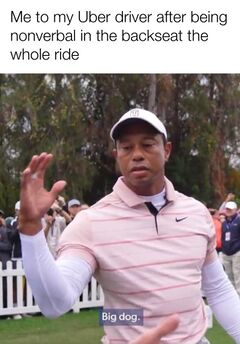 Tiger Woods Big Dog meme #2