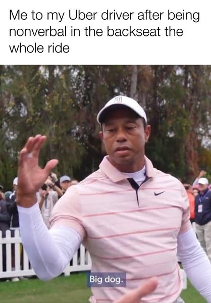 File:Tiger Woods Big Dog meme 2.jpg