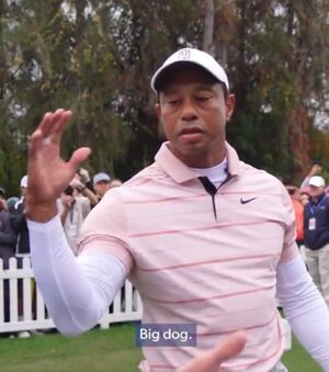 Tiger Woods Big Dog: blank meme template