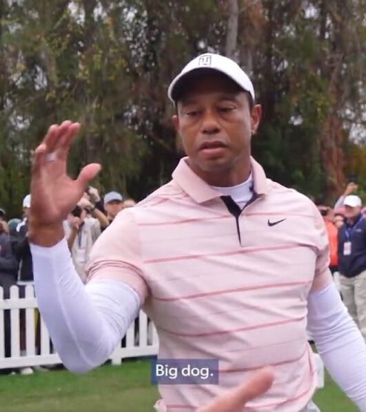 File:Tiger Woods Big Dog.jpg