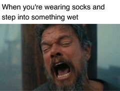 Odysseus Screaming meme #2