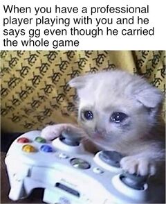 Sad Gaming Cat meme #1