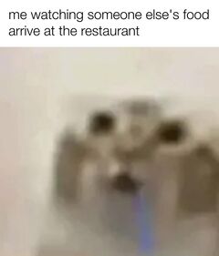 Drooling Cat meme #2