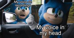 Sonic Pointing at Window meme #1