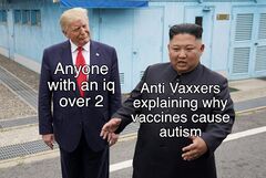 Trump and Kim Jong Un in the DMZ meme #3