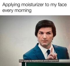 The Work Is Mysterious and Important meme #1