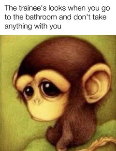 Sad Baby Monkey meme #2