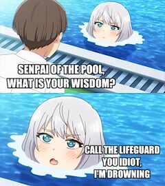 Senpai of the Pool meme #4