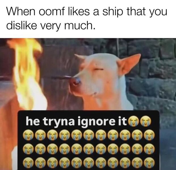 File:He Tryna Ignore It meme 3.jpg