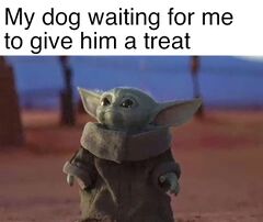 Baby Yoda meme #2
