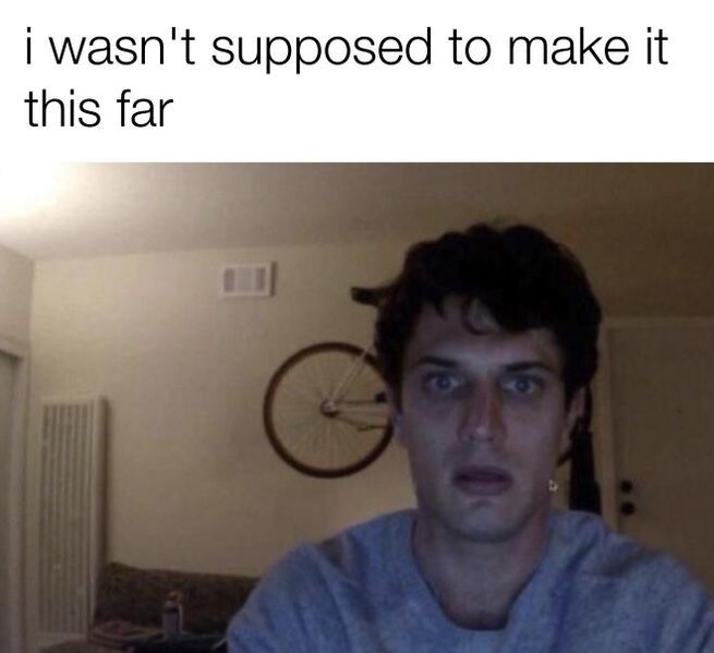 File:Guy Staring into Webcam meme 2.jpg