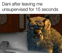 Tai Lung Looking At Computer meme #2