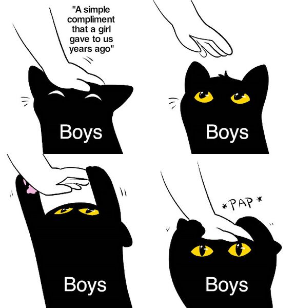 File:Cat Pap meme 3.jpg