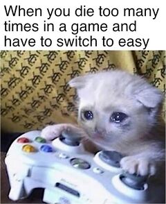 Sad Gaming Cat meme #4