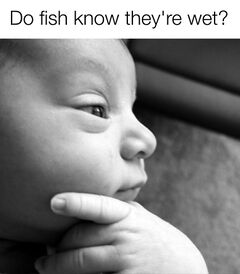 Thinking Baby meme #4