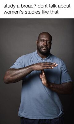 Shaq Timeout meme #2