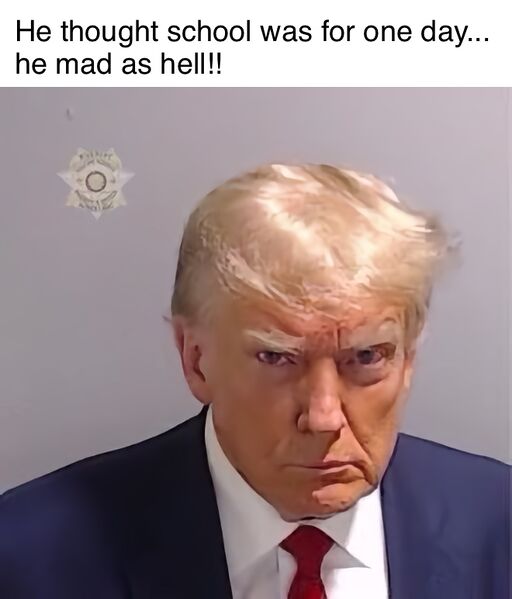 File:Donald Trump's Mugshot meme 2.jpg