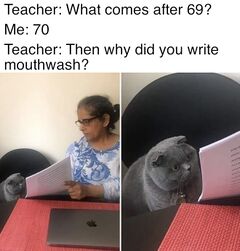 Woman Showing Papers to Grey Cat meme #3