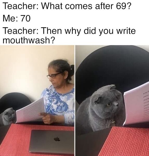 File:Woman Showing Papers to Grey Cat meme 3.jpg