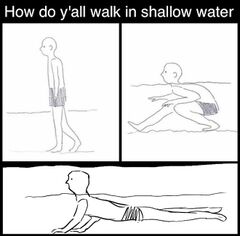 How Do Y'all Walk in Shallow Water meme #2